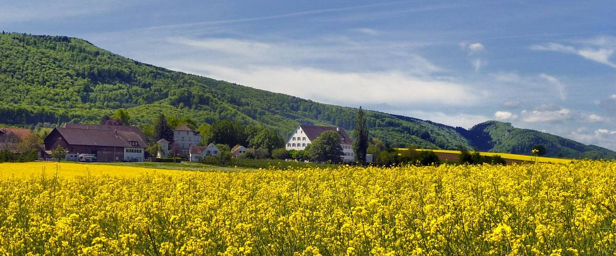 Die Blauenkette, wie wir sie kennen und lieben - So soll sie bleiben!